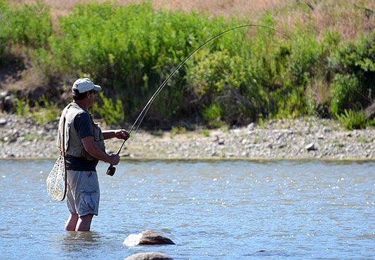 Fishing Angling